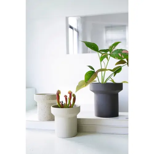 Chậu gốm dáng ống khói – phong cách Bắc Âu tối giản